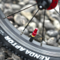 Preview: KUbikes 16S superlight
